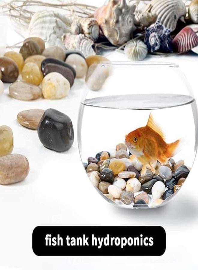 Premsons® Rough Decorative Pebbles - Biege Stones - For Aquariums Garden Lawn Plant Pots Vases Filler Home Office Decor Fish Tank - Smooth & Round River Rocks - Small Size 2.5-4 cm - 1kg Pack - Image 3